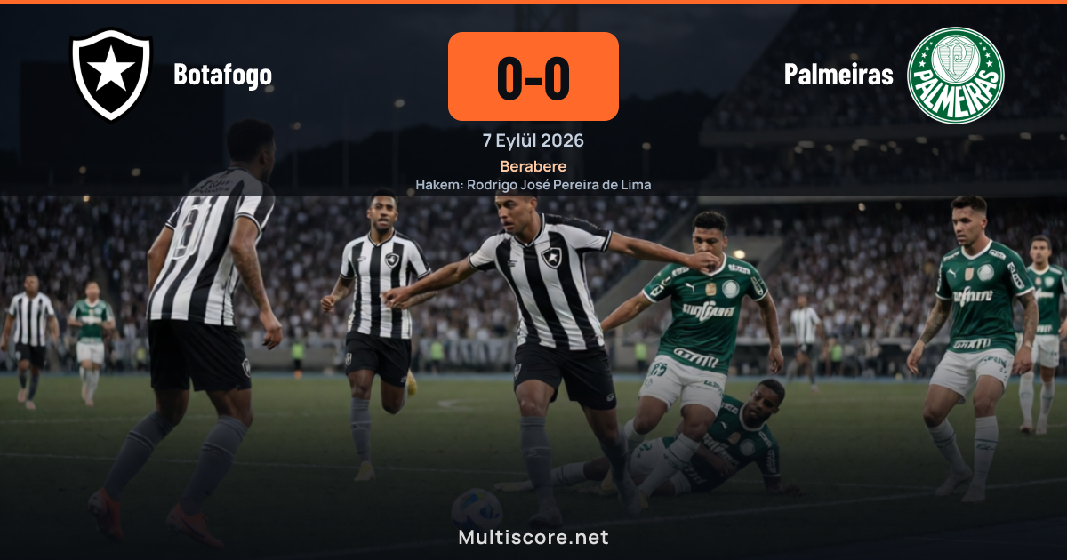 Botafogo ve Palmeiras maçından görüntü