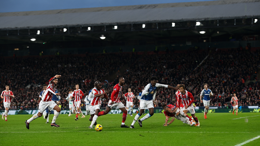 Sunderland - Brighton & Hove Albion Premier League maçı