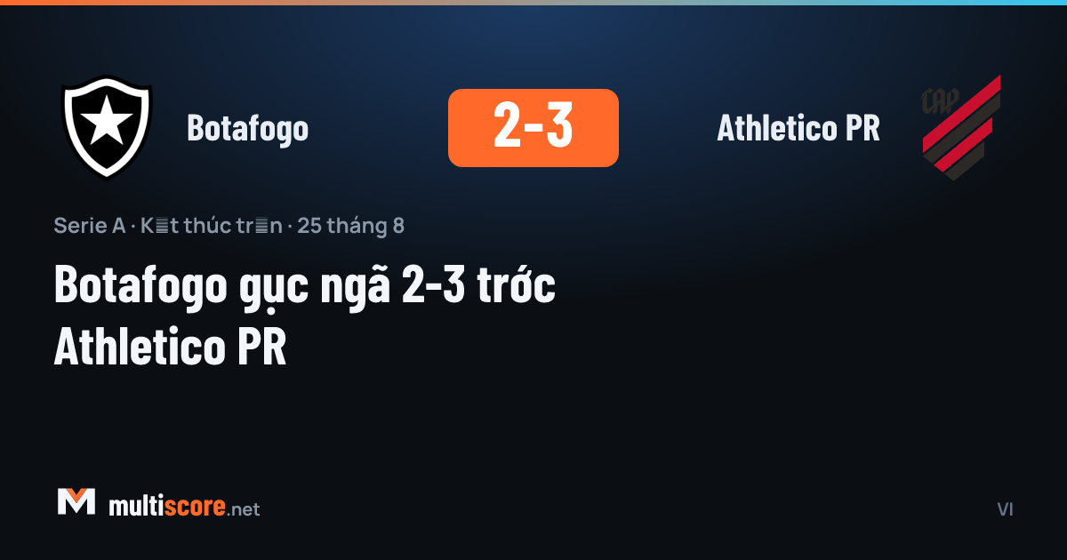 Botafogo ve Athletico PR oyuncuları maç sırasında