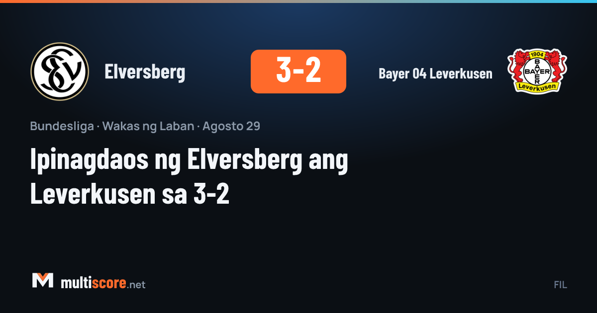 Elversberg 3-2 Bayer 04 Leverkusen Bundesliga maçı