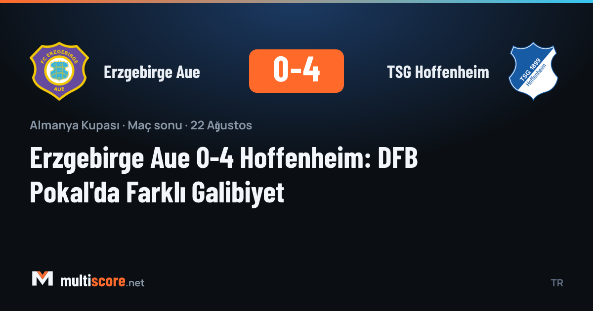 Erzgebirge Aue - TSG Hoffenheim