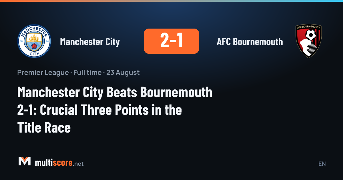 Manchester City - AFC Bournemouth Premier League maçından bir görünüm